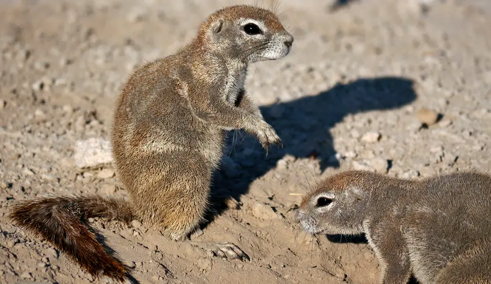 Namibia_10_20150386.jpg