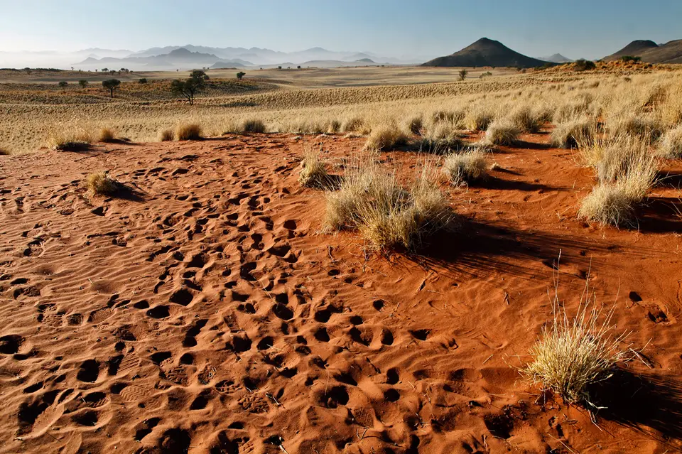 Namibia_10_20150418.jpg