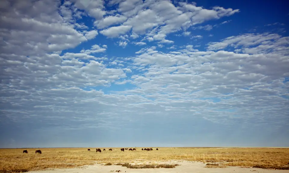 Namibia_10_20150451.jpg