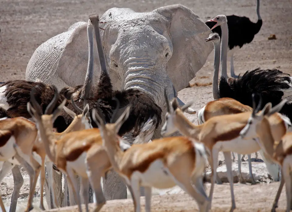Namibia_10_20150597.jpg
