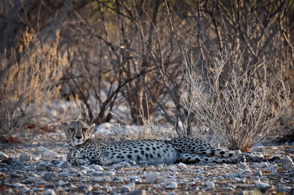 Namibia_10_20150627.jpg