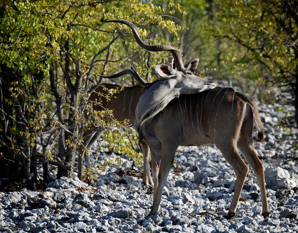 Namibia_10_20150634.jpg