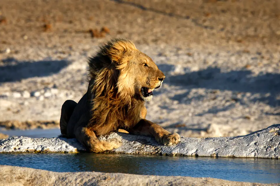 Namibia_10_20150664.jpg