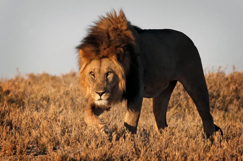 Namibia_10_20150673.jpg