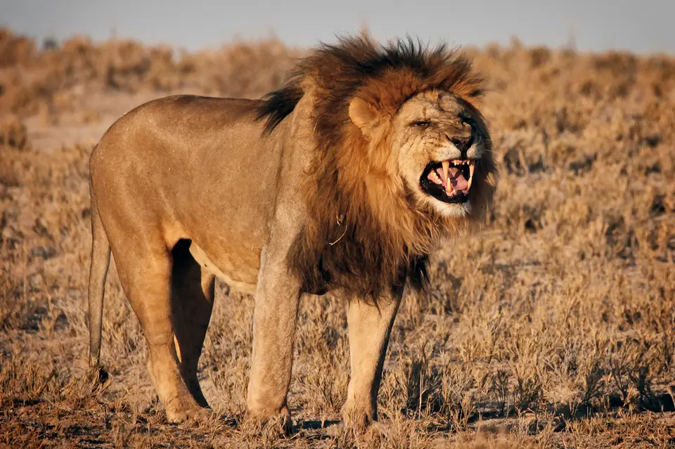 Namibia_10_20150674.jpg