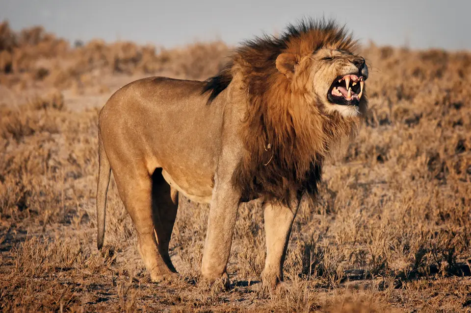 Namibia_10_20150678.jpg