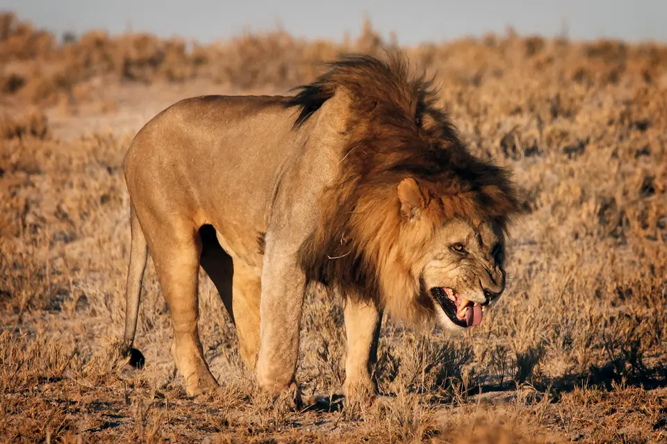 Namibia_10_20150682.jpg