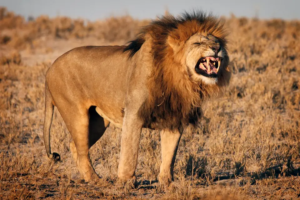 Namibia_10_20150685.jpg
