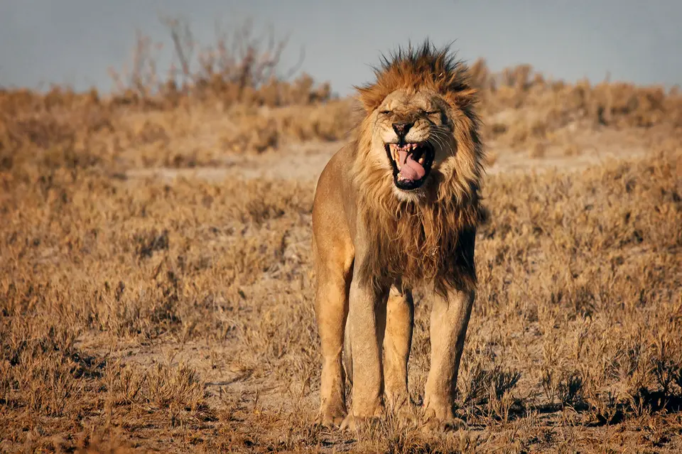 Namibia_10_20150691.jpg