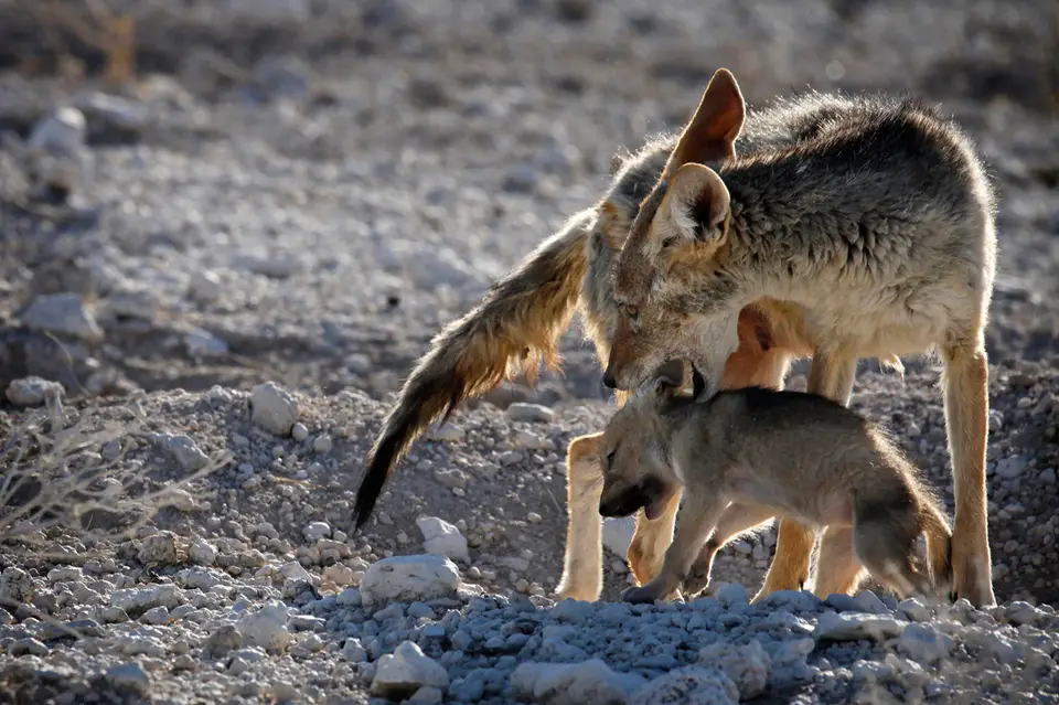 Namibia_10_20150698.jpg