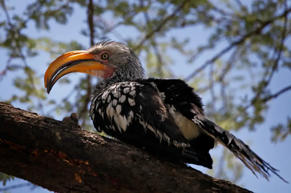 Namibia_10_20150712.jpg