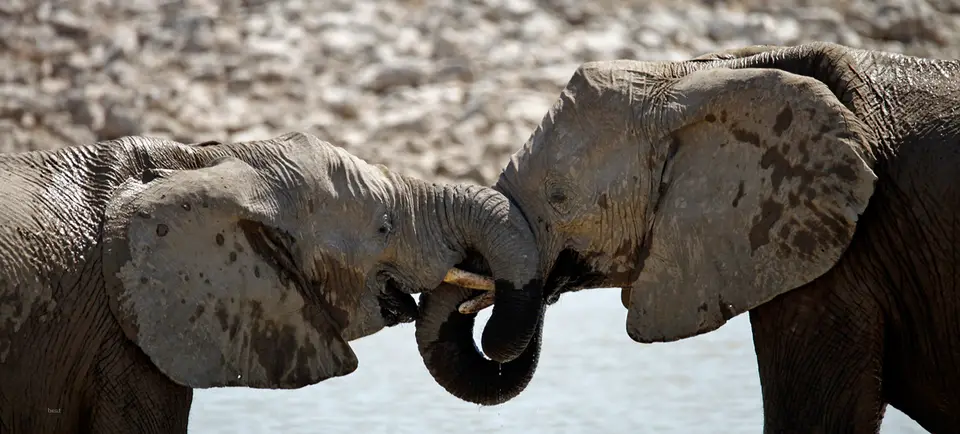 Namibia_10_20150713.jpg