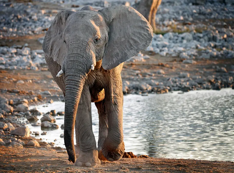 Namibia_10_20150720.jpg