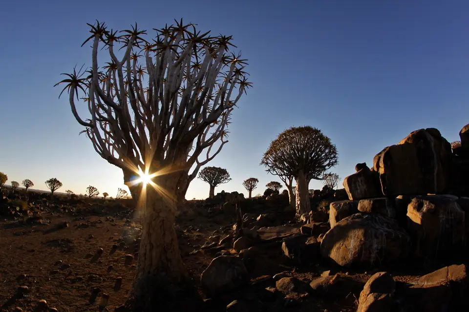 Namibia_10_20150728.jpg