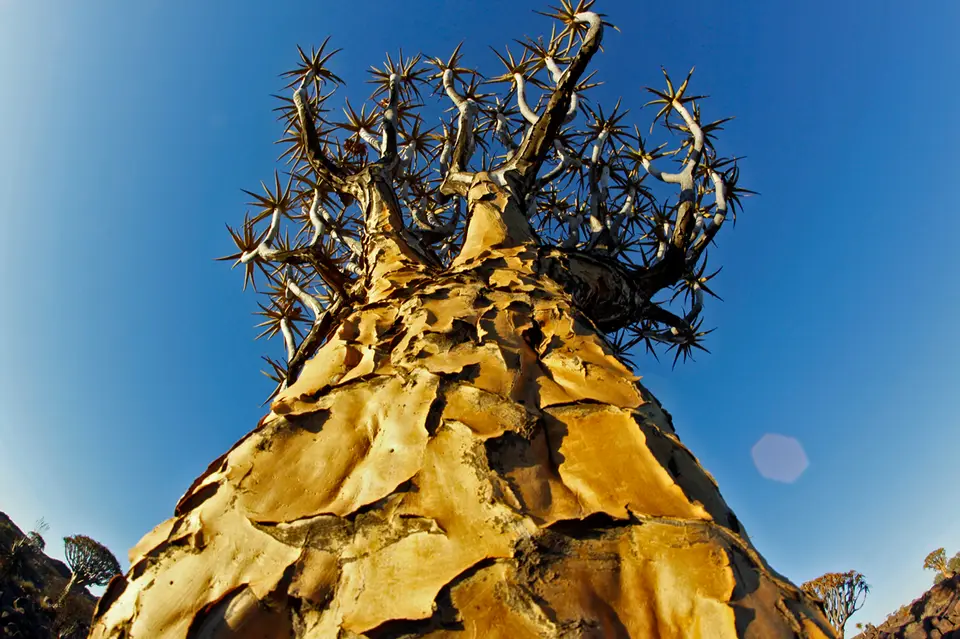 Namibia_10_20150729.jpg