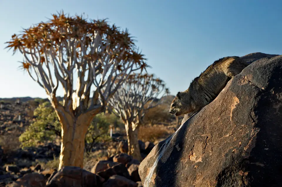 Namibia_10_20150792.jpg