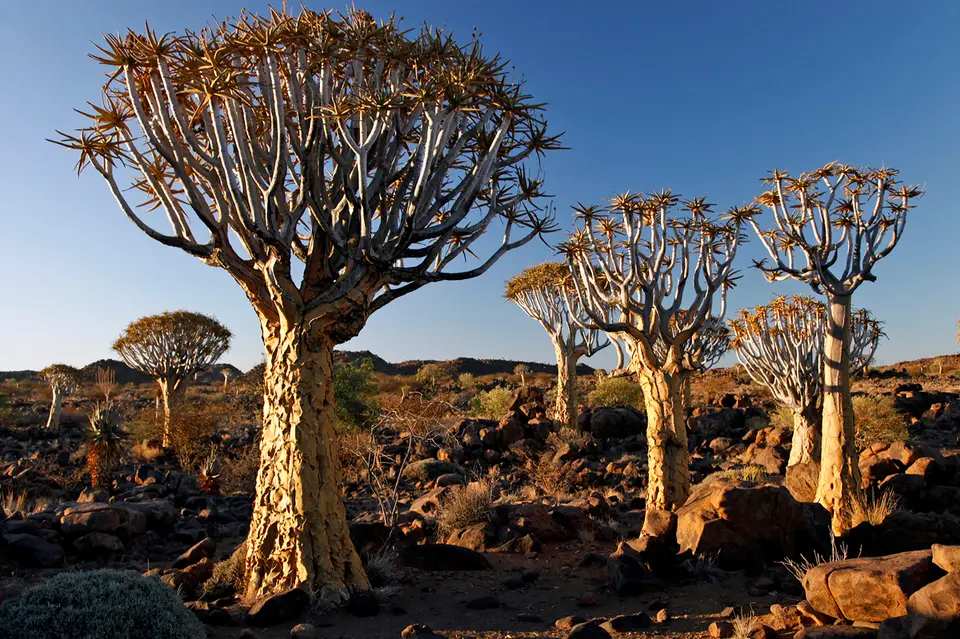 Namibia_10_20150795.jpg