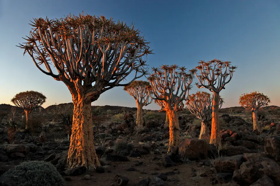Namibia_10_20150804.jpg