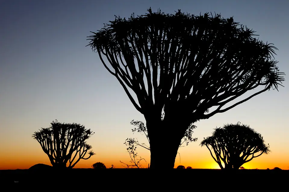 Namibia_10_20150805.jpg