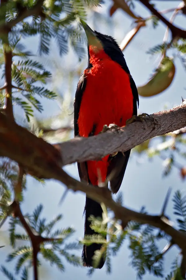 Namibia_10_2015_1067.jpg