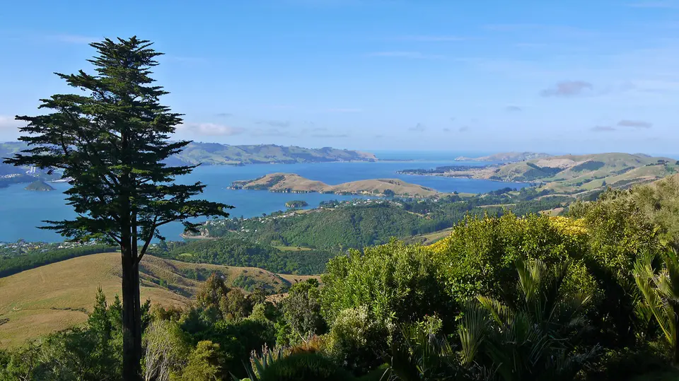 larnach_blick.jpg