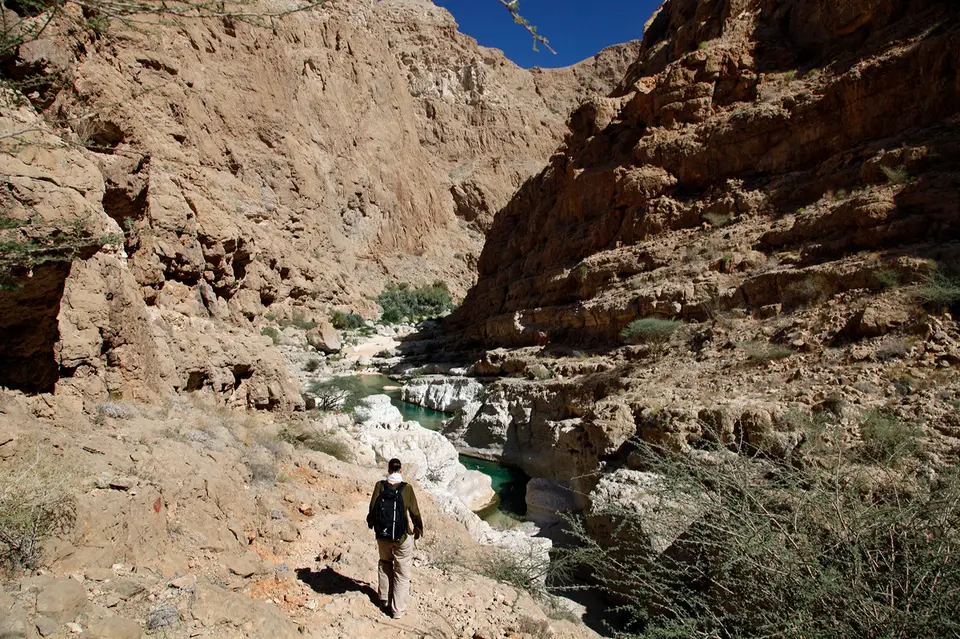 wadi.jpg