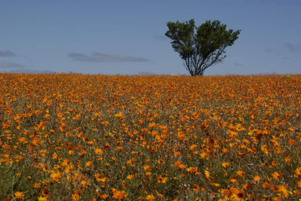 Namibia2009-2217.jpg