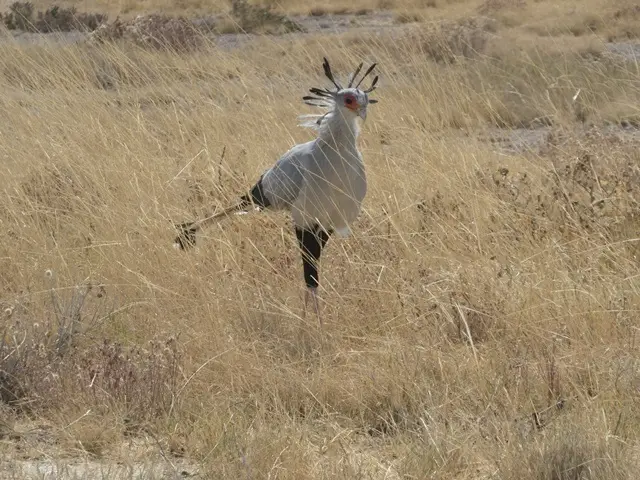 P1050935.jpg