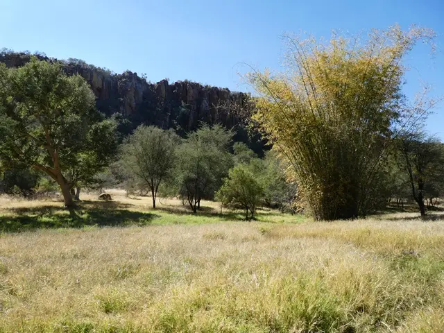 P1060563.jpg