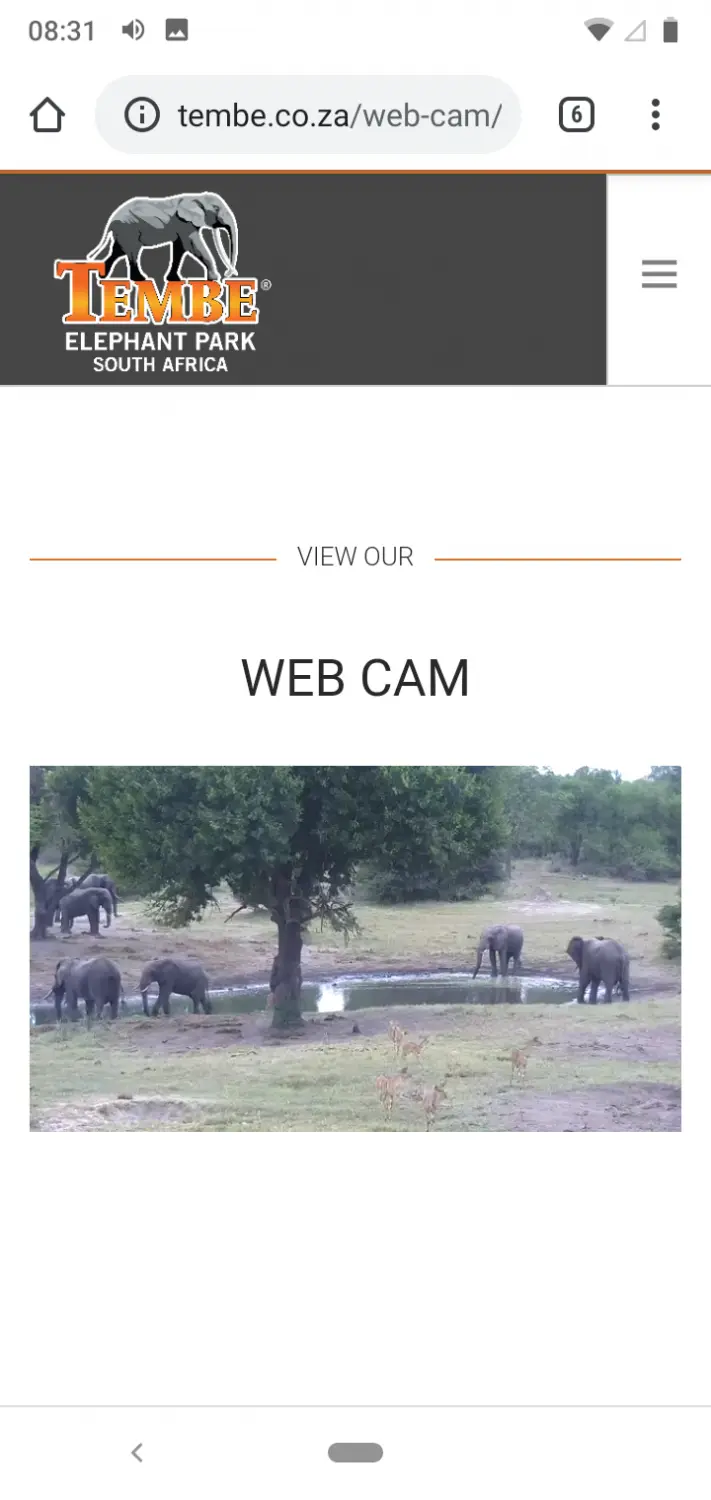 Screenshot_20200313-083140.png