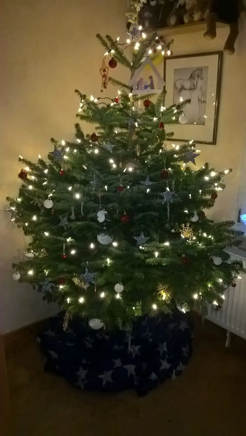 WP_20171223_21_12_53_Pro.jpg