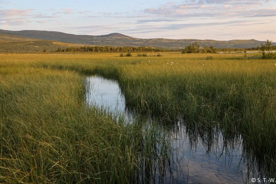 104A1018(2)-2.jpg