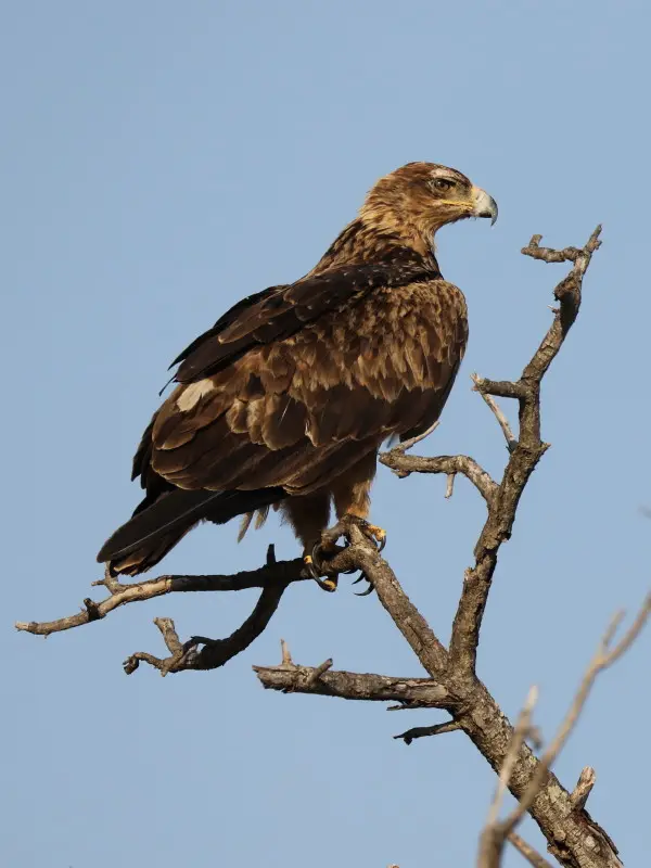 6B9A1077_1_1_1.jpg