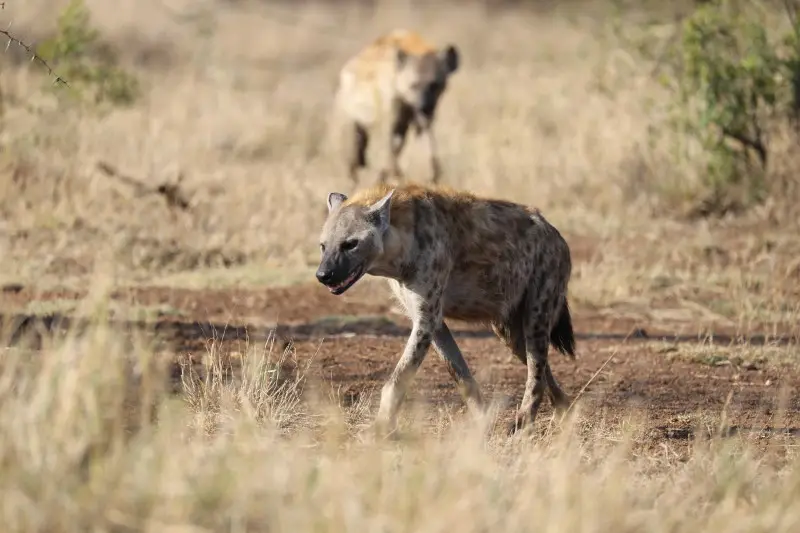 6B9A1484_1.JPG