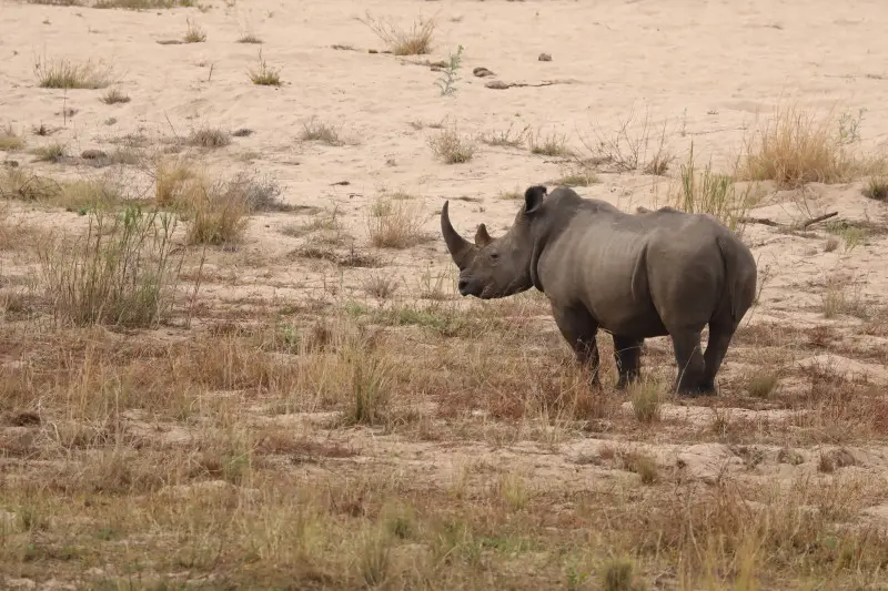 6B9A3712_1_1.jpg