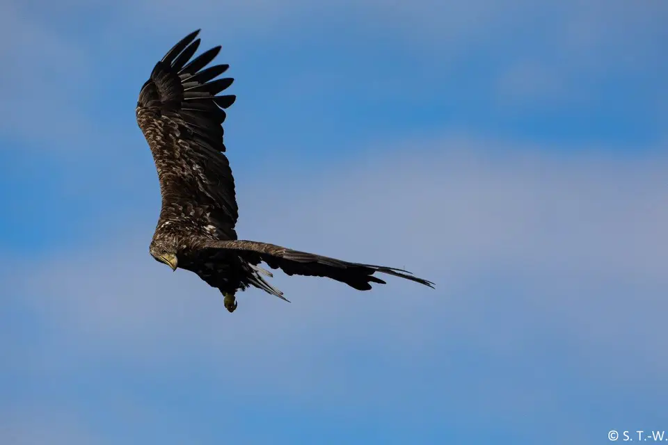 6B9A8375-2-2.jpg