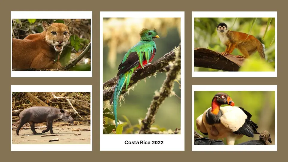CostaRica2022-2.jpg