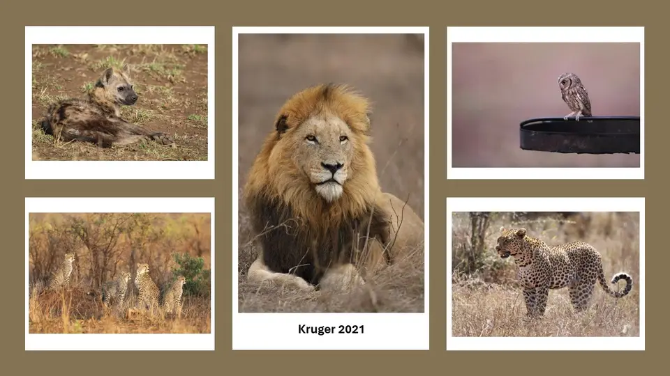 Kruger2021.jpg