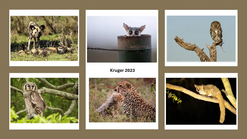 Kruger2023.jpg