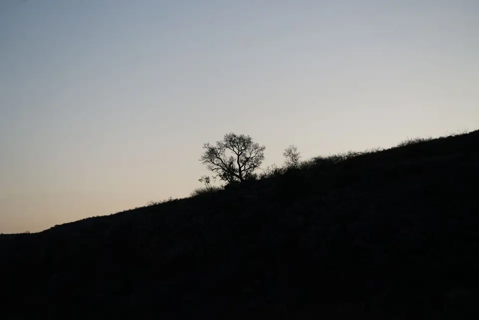 2017-08-20dNachmittagGamedriveOkambara065.JPG