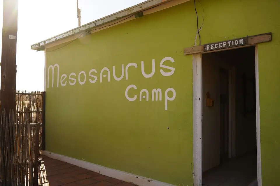 k-2017-08-27cMesosaurusCamp006.JPG