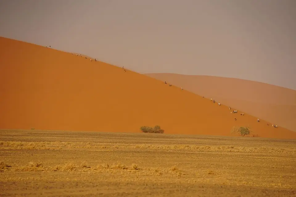 k-2017-09-03cFahrtzumDeadvlei005.JPG