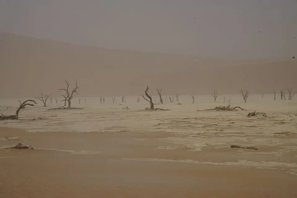 k-2017-09-03dDeadvlei027.JPG