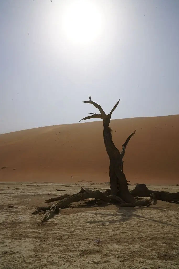 k-2017-09-03dDeadvlei035-2.JPG