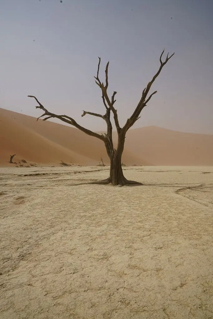 k-2017-09-03dDeadvlei045-2.JPG