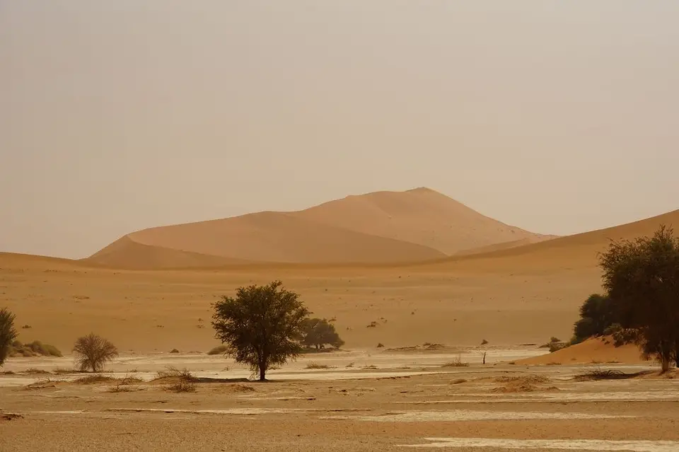 k-2017-09-03dSoussvlei002.JPG