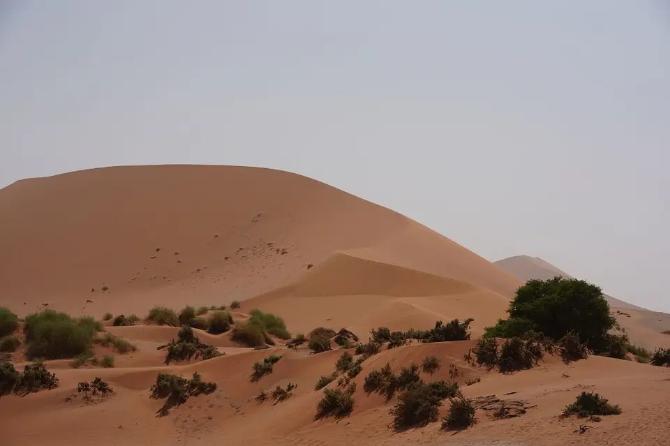 k-2017-09-03dSoussvlei007.JPG