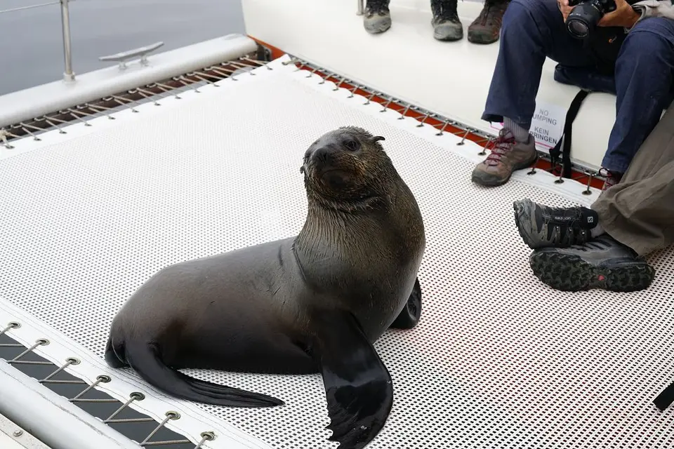 k-2017-09-06aBootstourWalvisBay021.JPG