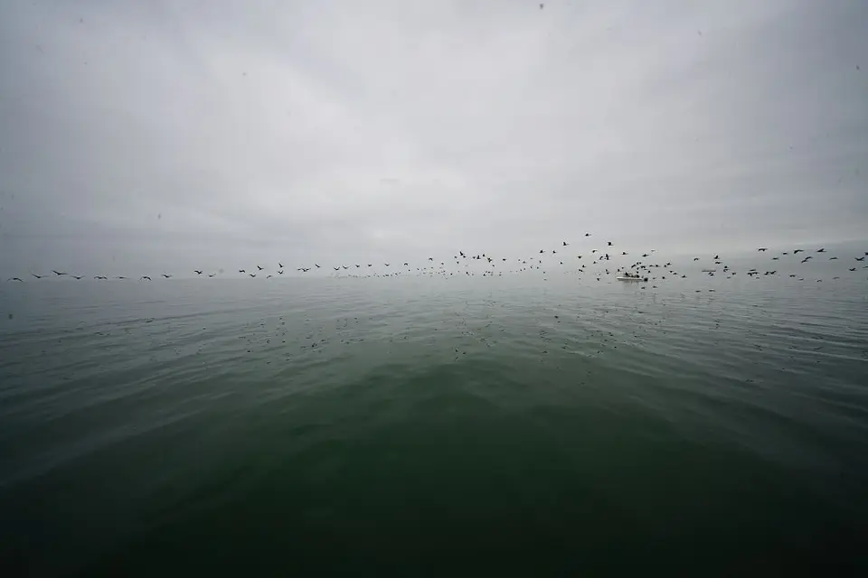 k-2017-09-06aBootstourWalvisBay157.JPG