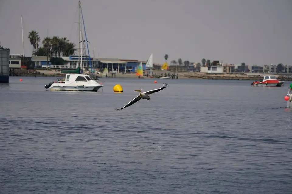k-2017-09-06aBootstourWalvisBay229.JPG